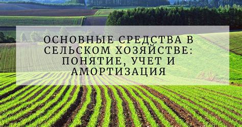 АПК в сельском хозяйстве: основные понятия и расшифровка