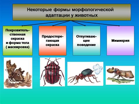 Адаптация к оптимуму в биологии