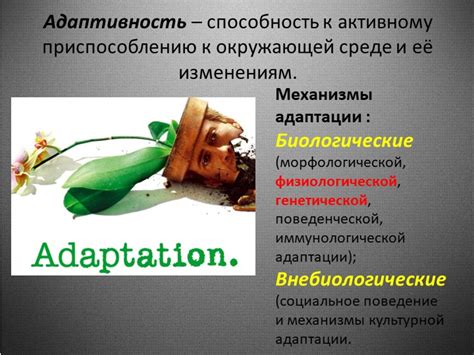 Адаптивность к окружающей среде