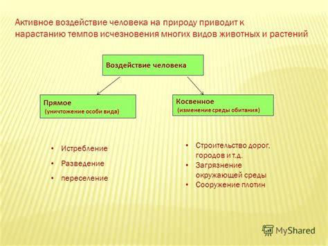 Активное наклонение - прямое воздействие