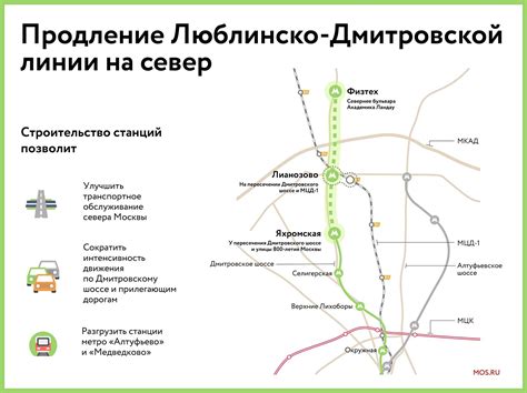 Актуальная информация о салатовой ветке