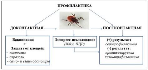 Актуальность проблемы энцефалита