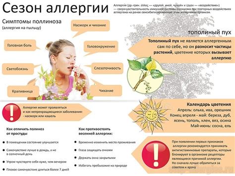 Аллергическая реакция: как распознать и устранить причину