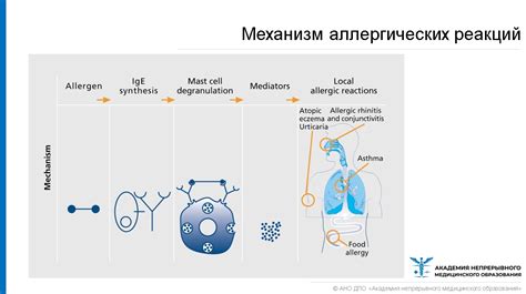 Аллергические реакции и их проявления