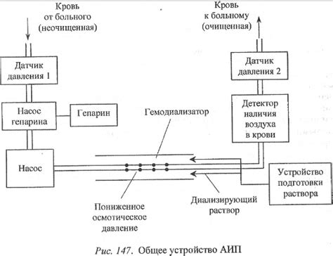 Альтернативные способы регулирования кислотности борща