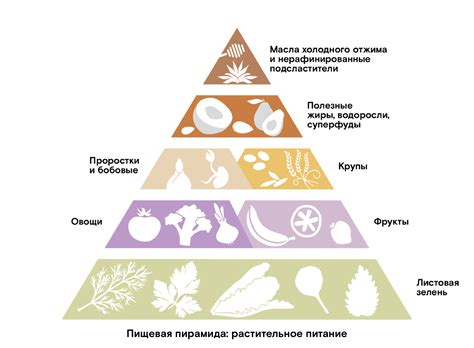 Альтернативы животному белку