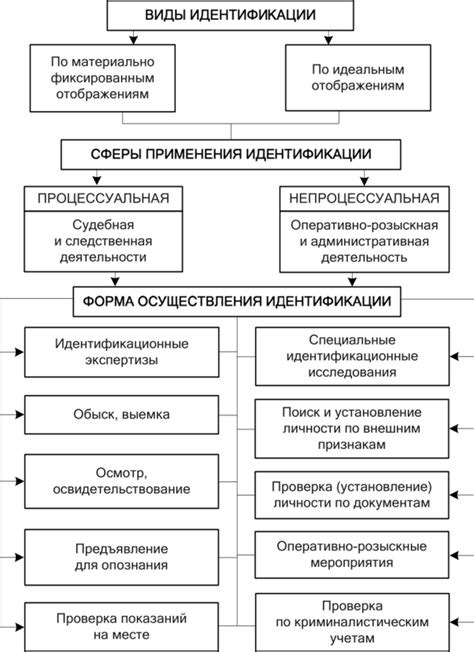 Амилолитическое действие: особенности и сферы применения