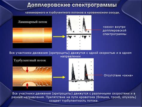 Анализы, исследования, ультразвуковые методы