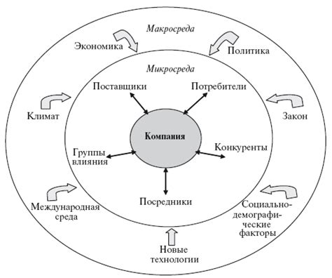 Анализ влияния внешних опор