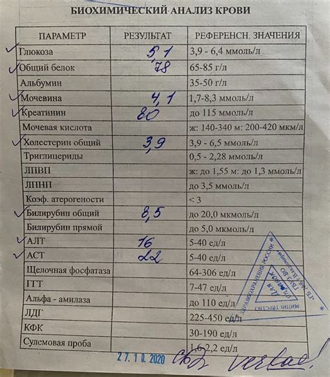 Анализ внешности и физических характеристик