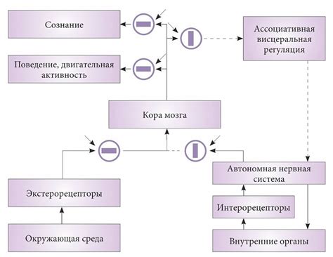 Анализ других элементов сна