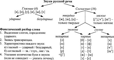 Анализ звукового состава