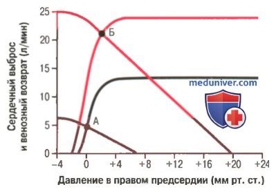 Анализ изменений при физической нагрузке