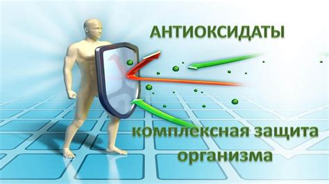 Антиоксиданты и мед: защита от свободных радикалов