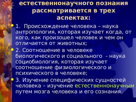 Антропология: изучение человека во всех его аспектах