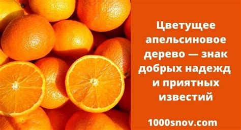 Апельсины во сне для женщины: отрицательное значение