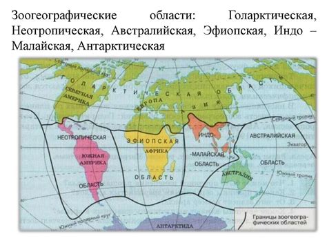 Ареал обитания и миграции