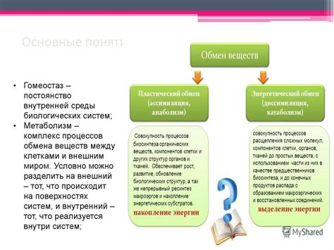 Ассимиляция и диссимиляция: основные понятия и определения