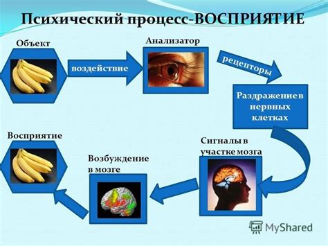 Аудиальные ощущения и их значение для психологии