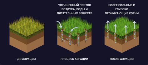 Аэрация и структурирование почвы