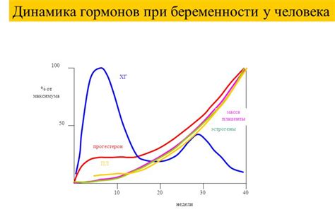 Баланс гормонов после эмбрионного переноса