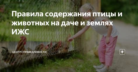 Безопасность животных и простота содержания