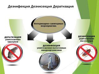 Безопасные способы проведения дезинсекции