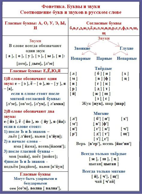 Без лишних звуков: фонетика русского языка