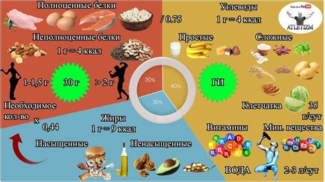 Белки: почему они важны для сжигания жира и каких продуктов ими насытить организм