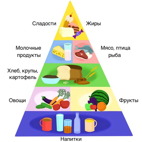 Белки - основные питательные вещества в клетке