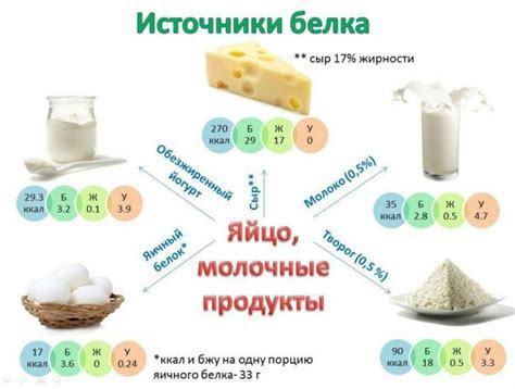 Белковая пища для активного роста