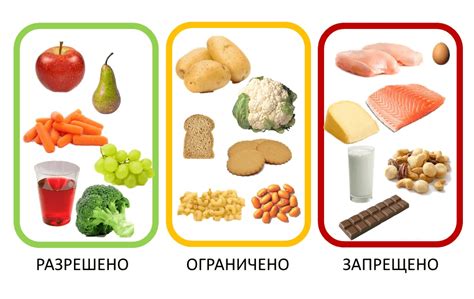 Белковые продукты в диете: разнообразие и польза