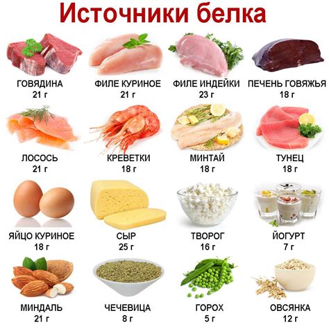 Белковые продукты для роста и развития