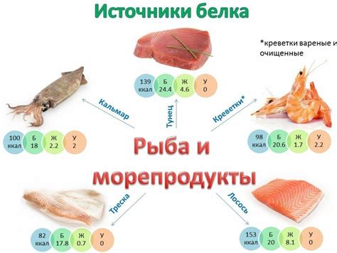 Белок: источник силы и энергии для организма