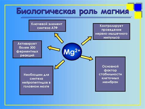 Биологическая роль натрия и магния