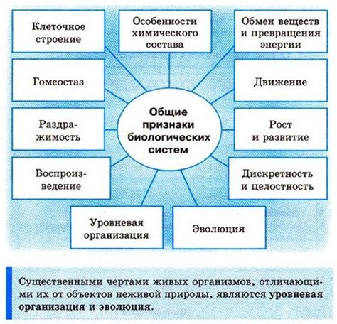 Биологические системы и их классификация