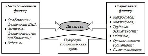 Биологические факторы, влияющие на уход мужа во сне