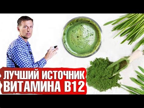 Богатый источник витамина B12