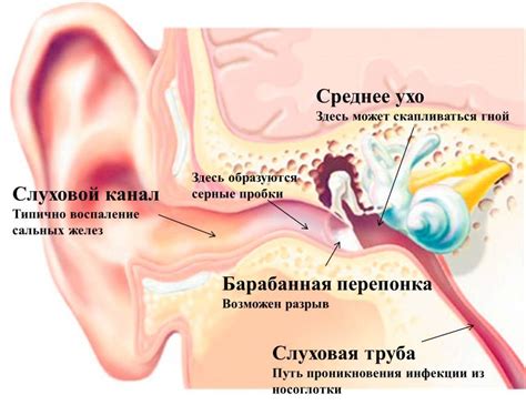 Боль в ухе и слуховой канал