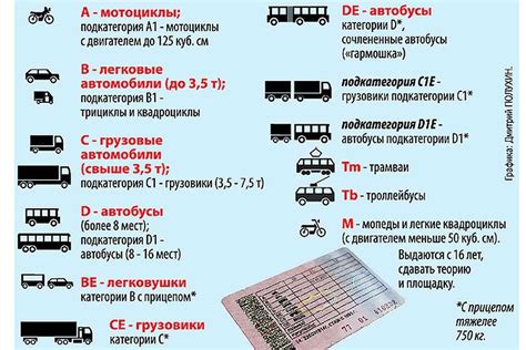 Бонусы и привилегии водителей с М в правах