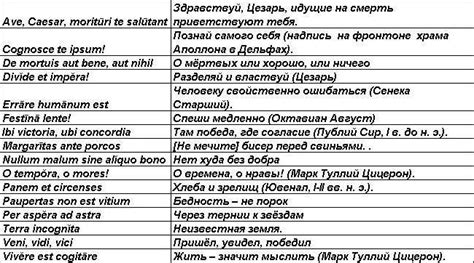 Будьте осведомлены и элегантны: популярные латинские выражения для вашего лексикона