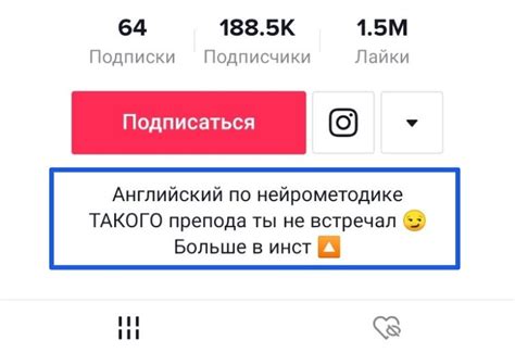 Важная информация о ТикТок Скарлетт