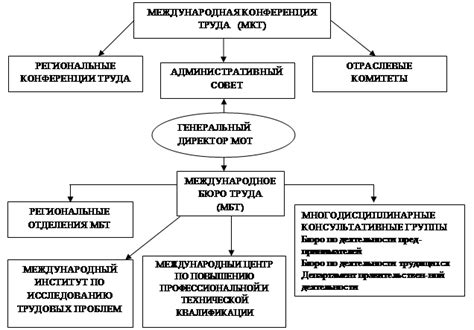 Важность Международной организации труда