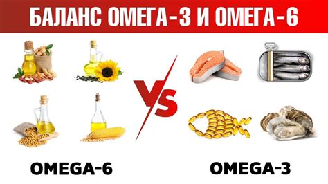 Важность баланса омега 3 и омега 6