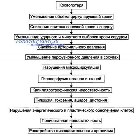 Важность быстрого восстановления организма после кровопотери