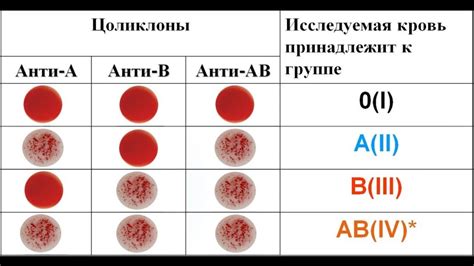 Важность определения совместимости группы крови