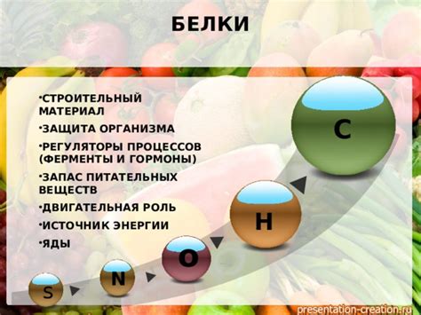 Важность органических веществ для организма