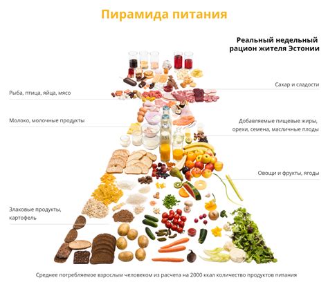 Важность питательных веществ: белки, витамины и минералы, для мужского здоровья