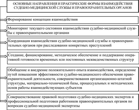 Важность правильного заполнения пункта 5 при взаимодействии с правоохранительными органами