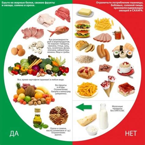 Важность правильного питания для собаки и влияние на пристрастие к земле